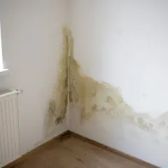 Pleśń na ścianie w rogu pokoju, przy oknie i grzejniku. Problem z wilgocią, która może wymagać ocieplenie ścian od wewnątrz.