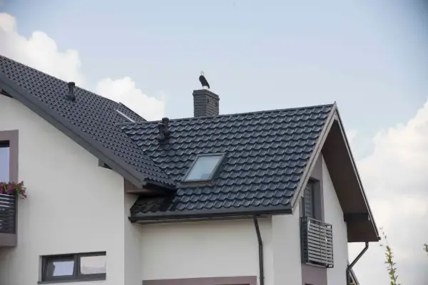 Ptak siedzi na kominie, który znajduje się w miejscu przecięcia dwóch połaci dachowych. Dach pokryty jest ciemną dachówką.